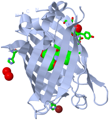 Image Biol. Unit 1 - sites