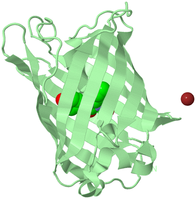 Image Biological Unit 2