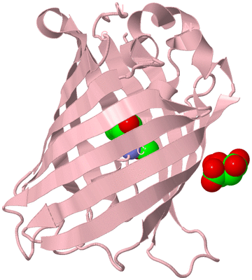 Image Biological Unit 3