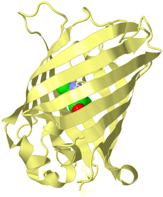 Image Biological Unit 4