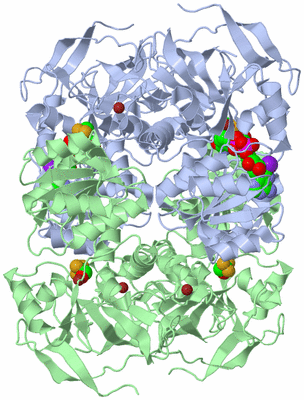 Image Biological Unit 1