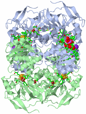 Image Biol. Unit 1 - sites