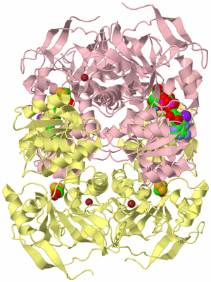 Image Biological Unit 2