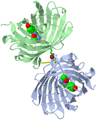 Image Asym./Biol. Unit - sites