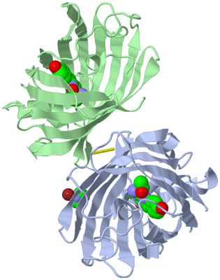 Image Asym./Biol. Unit