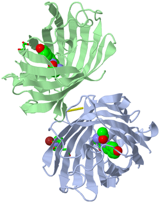 Image Asym./Biol. Unit - sites