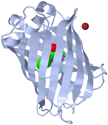 Image Biological Unit 1