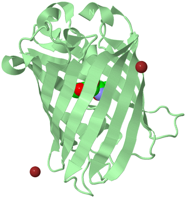 Image Biological Unit 2