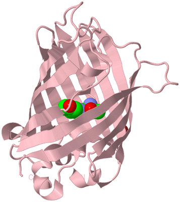 Image Biological Unit 3