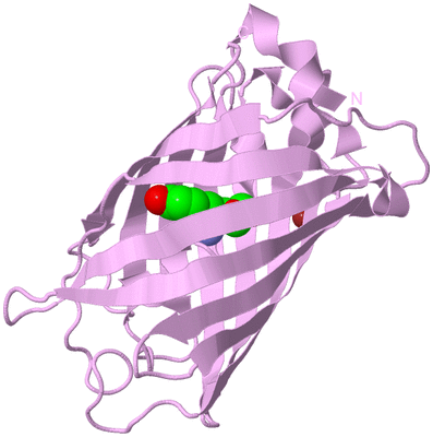 Image Biological Unit 5