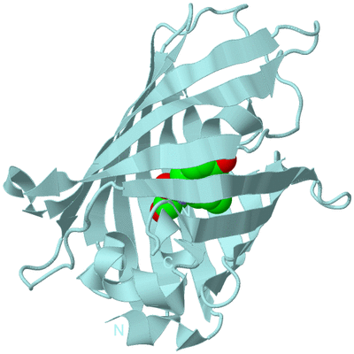 Image Biological Unit 6