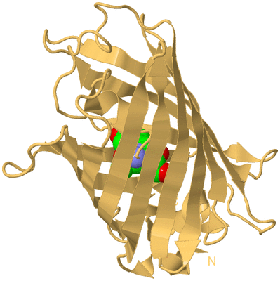 Image Biological Unit 7