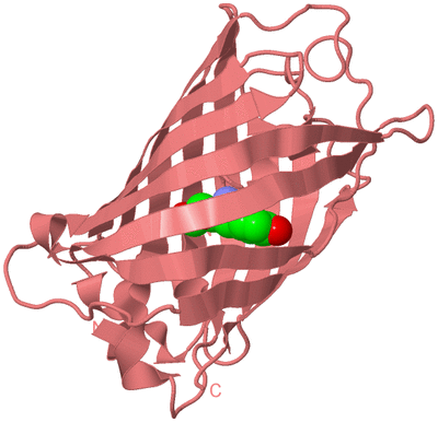 Image Biological Unit 8