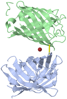 Image Biological Unit 3