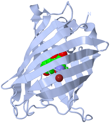 Image Biological Unit 1