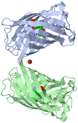 Image Biological Unit 3