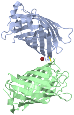 Image Biological Unit 3