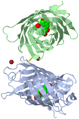 Image Biological Unit 1