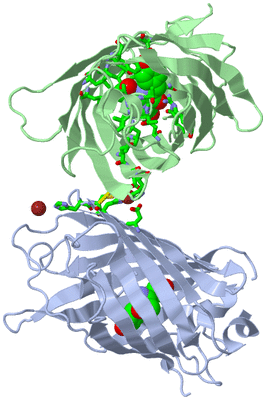 Image Biol. Unit 1 - sites