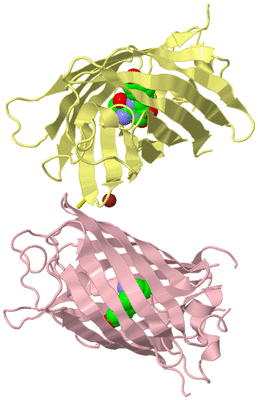 Image Biological Unit 2