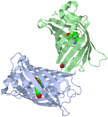 Image Biological Unit 1