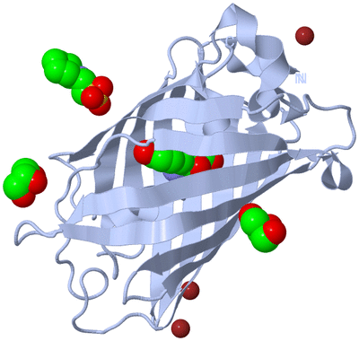 Image Biological Unit 1