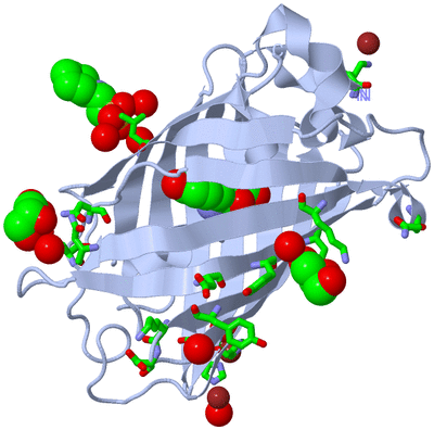 Image Biol. Unit 1 - sites