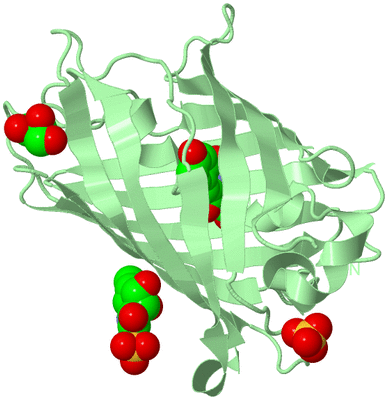 Image Biological Unit 2