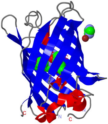 Image Asym./Biol. Unit