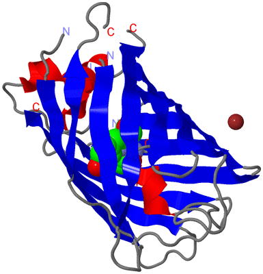 Image Asym./Biol. Unit