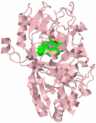 Image Biological Unit 3