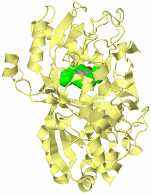 Image Biological Unit 4