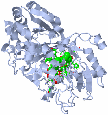 Image Biol. Unit 1 - sites