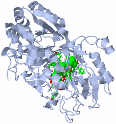 Image Biol. Unit 1 - sites