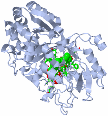 Image Biol. Unit 1 - sites