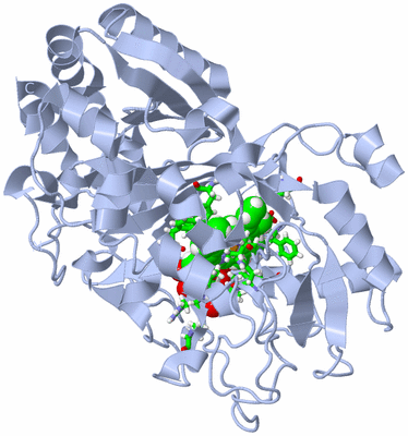 Image Biol. Unit 1 - sites