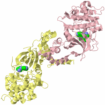 Image Biological Unit 2