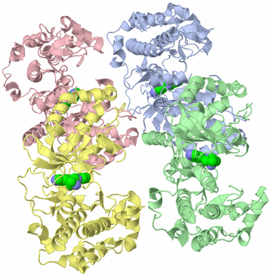 Image Biological Unit 3