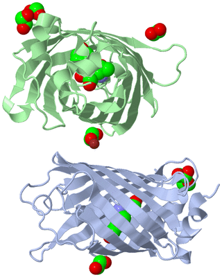 Image Biological Unit 1