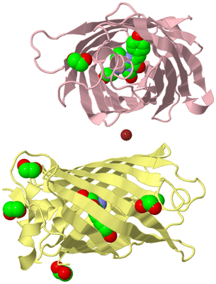 Image Biological Unit 2