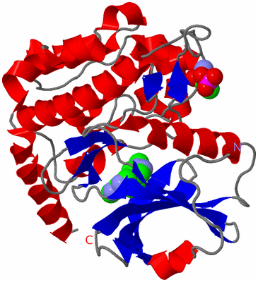 Image Asym./Biol. Unit