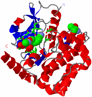 Image Asym./Biol. Unit - sites