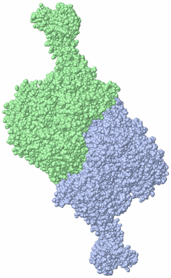 Image Asymmetric Unit