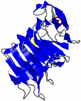 Image Asymmetric Unit