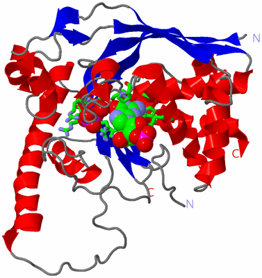 Image Asym./Biol. Unit - sites