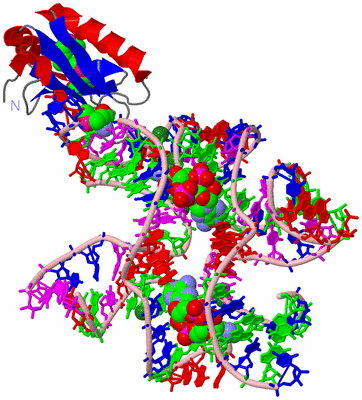 Image Asym./Biol. Unit