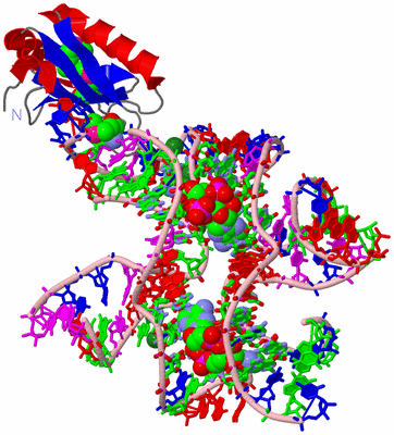 Image Asym./Biol. Unit - sites