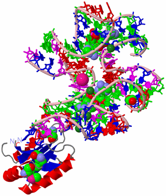 Image Asym./Biol. Unit