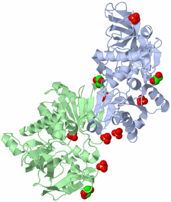 Image Asym./Biol. Unit