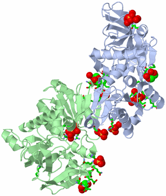 Image Asym./Biol. Unit - sites